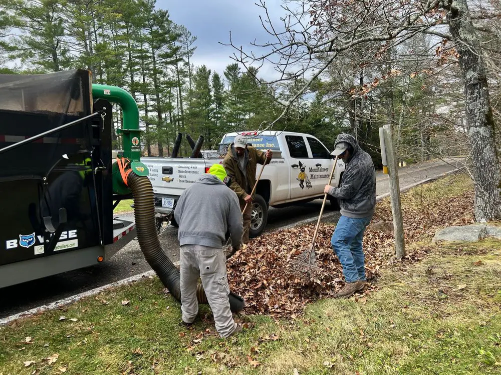 Workers performing outdoor leaf removal