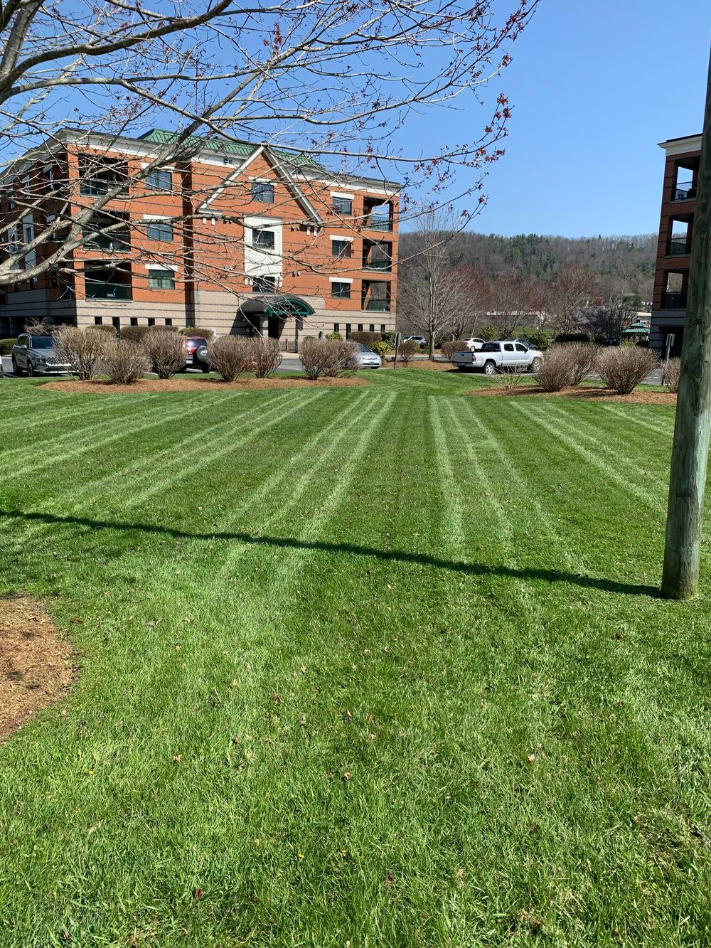 Manicured green lawn landscaping services