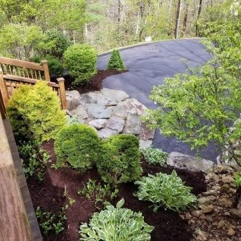 Landscaped garden with stone path