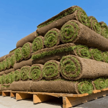 Rolled sod pallets for landscaping