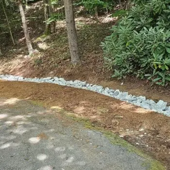 Gravel drainage along wooded path