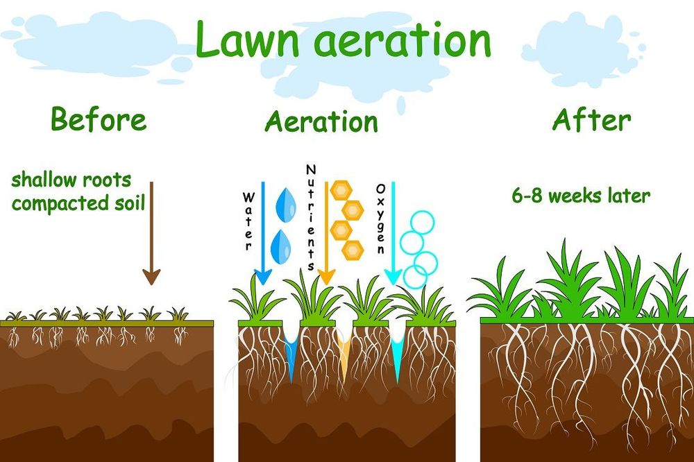 Lawn aeration process diagram