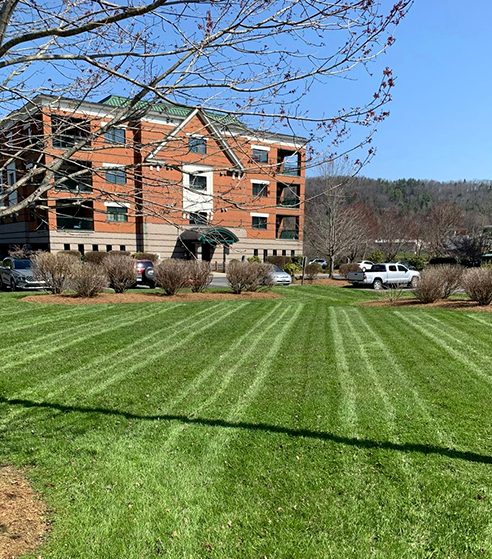 Manicured lawn outside brick building