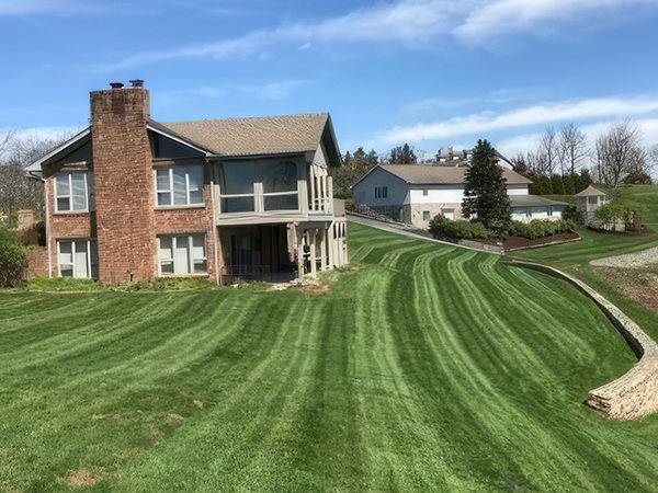 Freshly mowed lawn suburban home