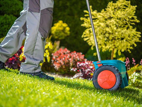 Lawn care professional spreading fertilizer