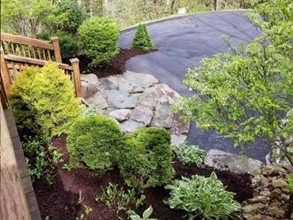 Landscaped garden with pathway design