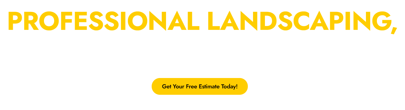 Professional landscaping free estimate offer